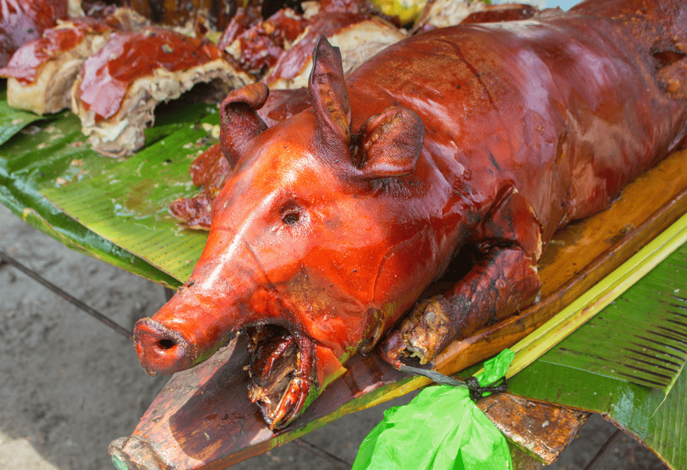 Small free-range pig boasts a mild smokiness that enhances the natural sweetness (Source: Canva)